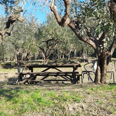 Agriturismo Cele Celle Ligure Eksteriør billede