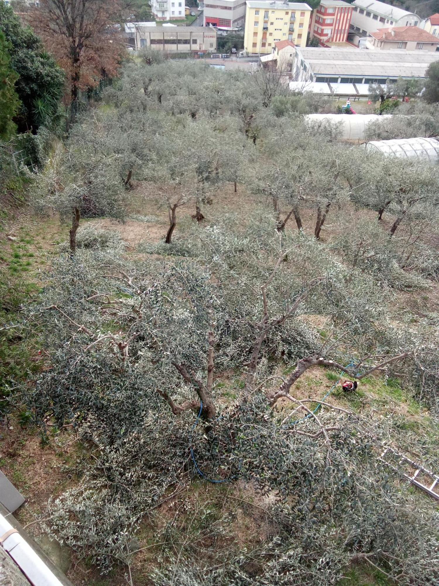 Agriturismo Cele Celle Ligure Eksteriør billede