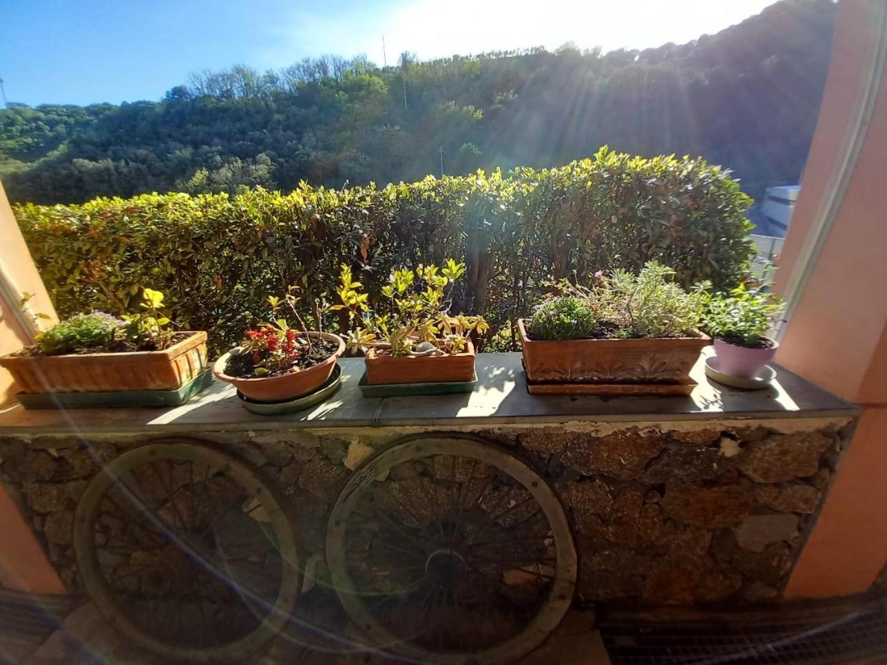 Agriturismo Cele Celle Ligure Eksteriør billede