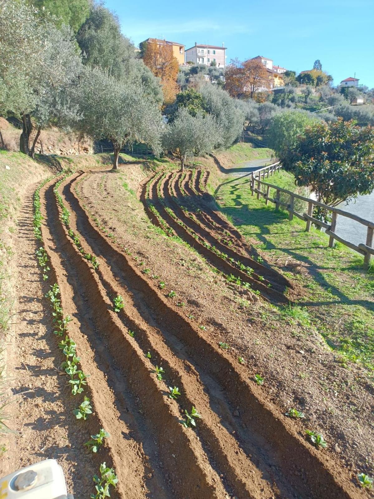 Agriturismo Cele Celle Ligure Eksteriør billede